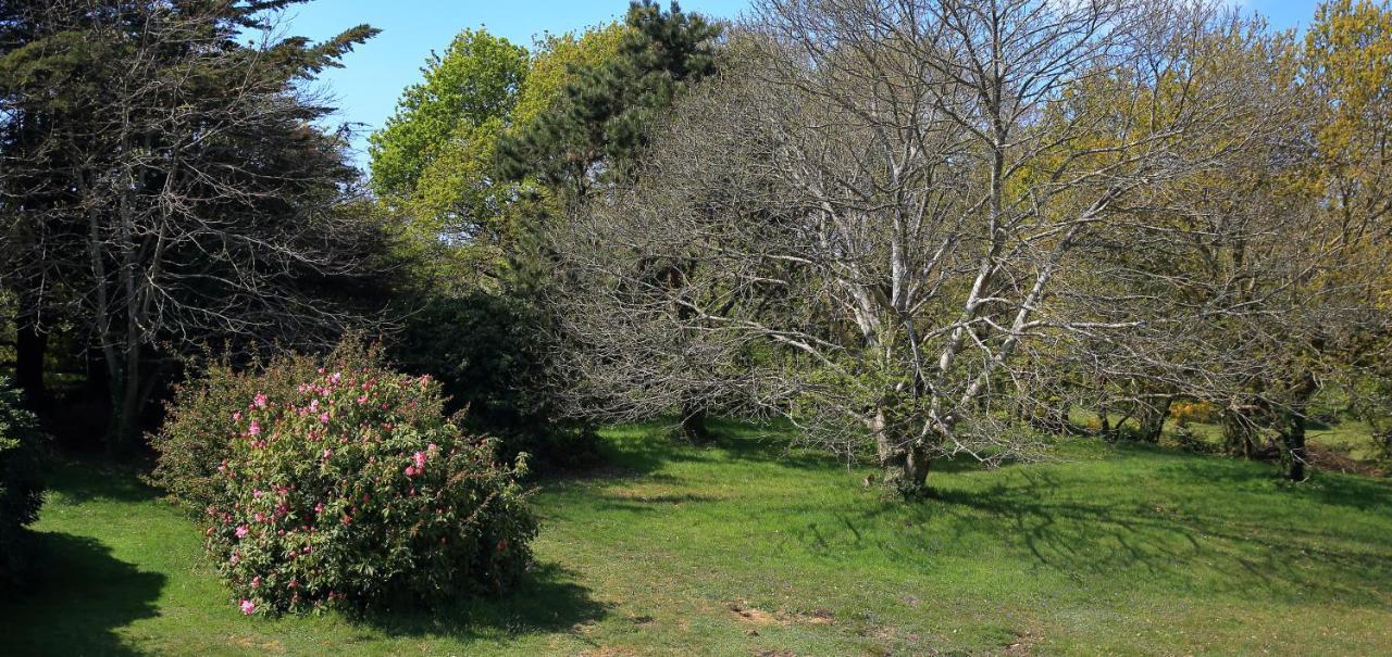 Aux Arbres Chanteurs Ploulech Esterno foto