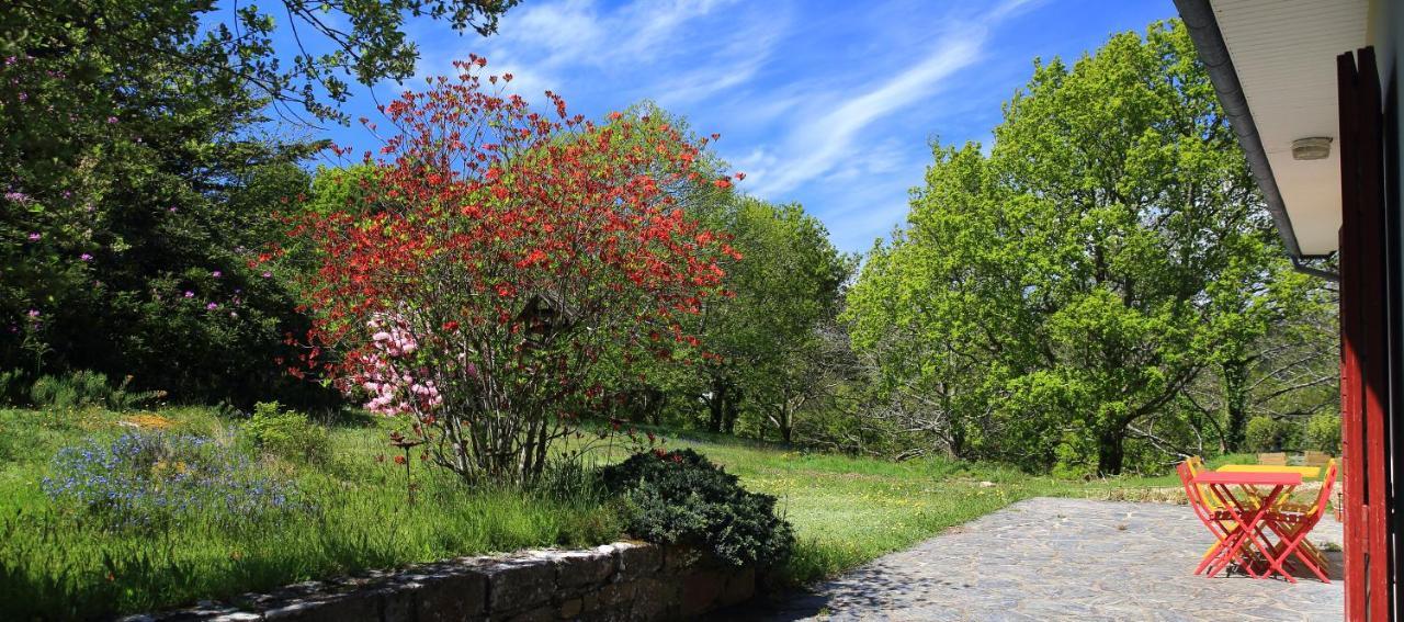 Aux Arbres Chanteurs Ploulech Esterno foto