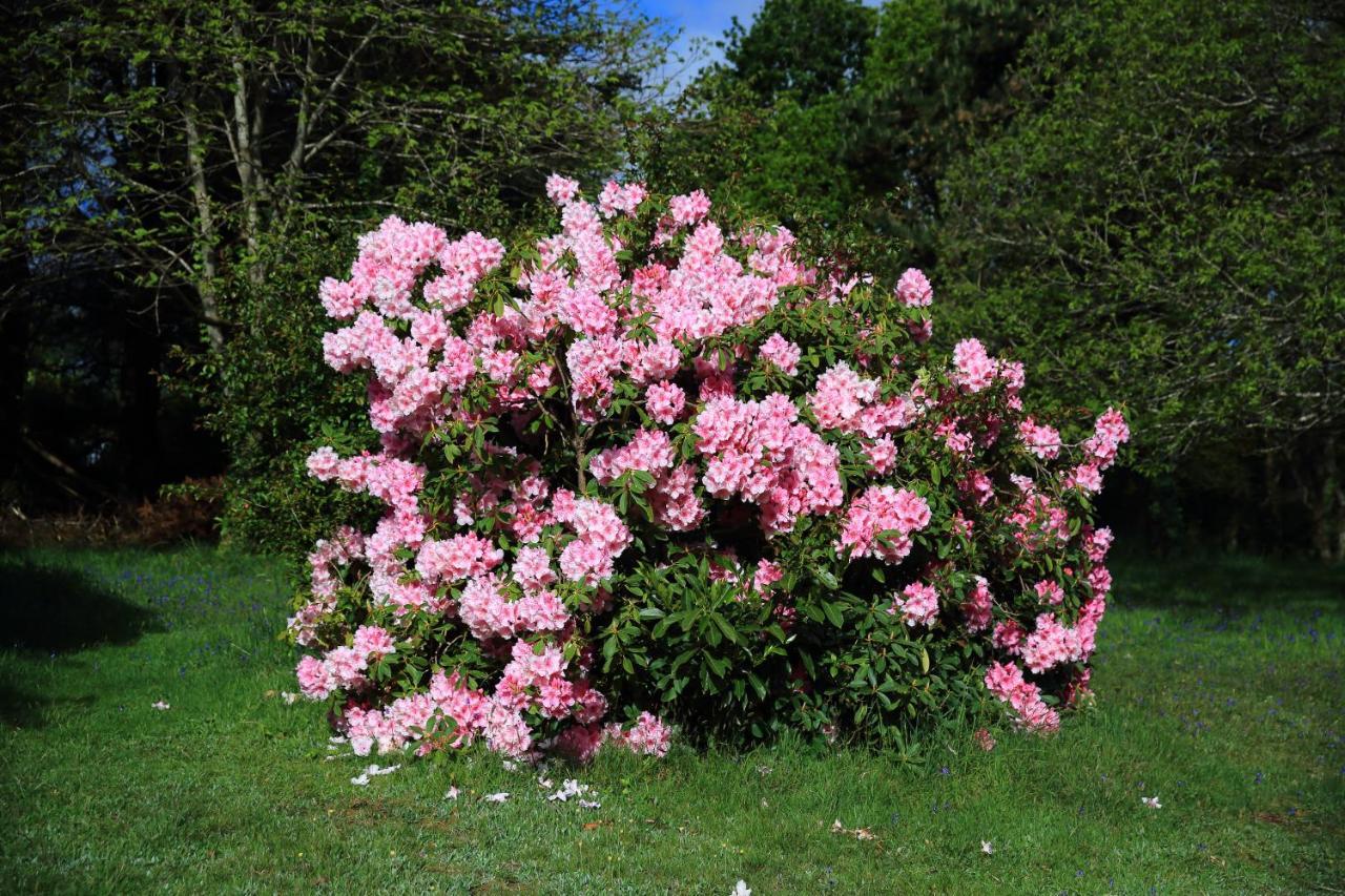 Aux Arbres Chanteurs Ploulech Esterno foto