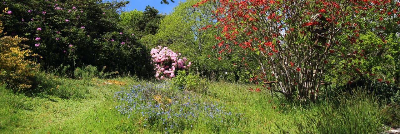 Aux Arbres Chanteurs Ploulech Esterno foto